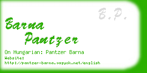 barna pantzer business card